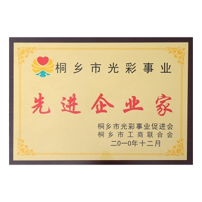 桐鄉市光彩事業先進企業家