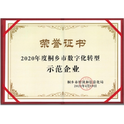 2020年度桐鄉市數字化轉型示范企業